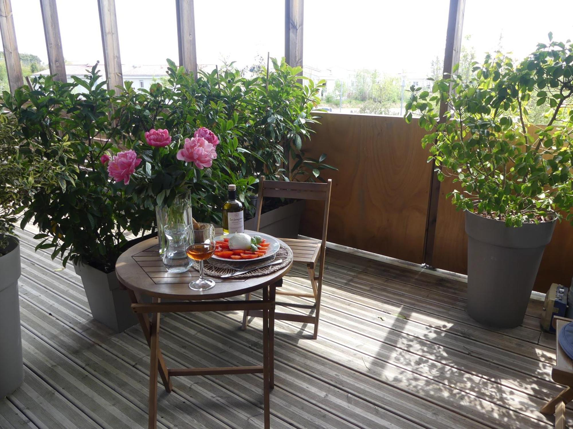 Studios Nuitee En Provence 普罗旺斯地区艾克斯 外观 照片