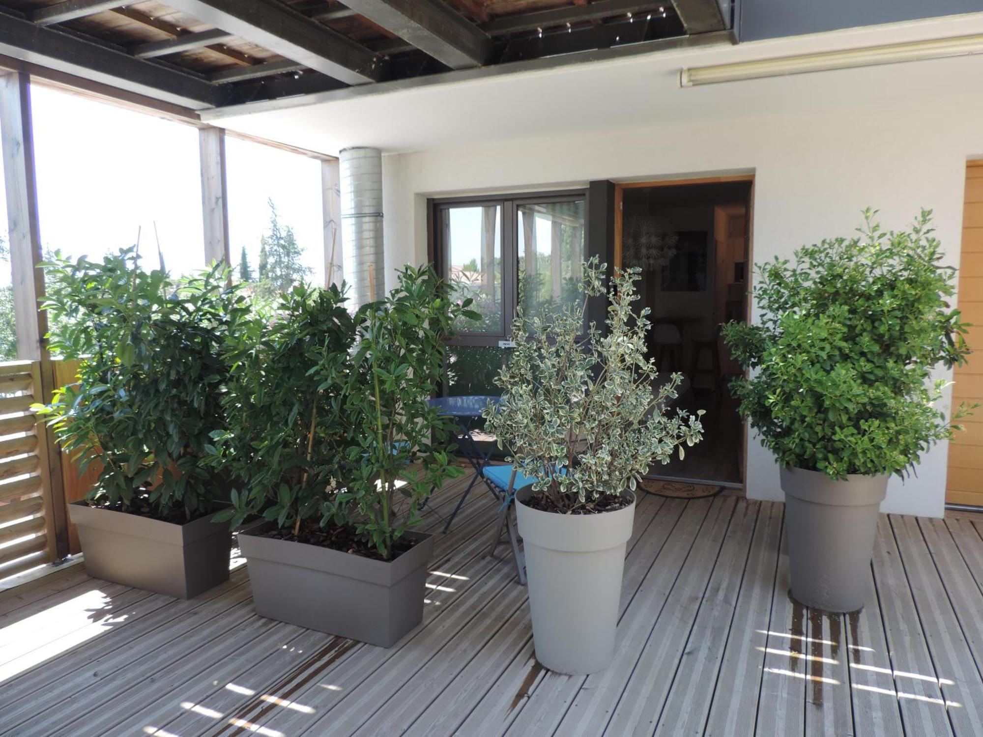 Studios Nuitee En Provence 普罗旺斯地区艾克斯 外观 照片