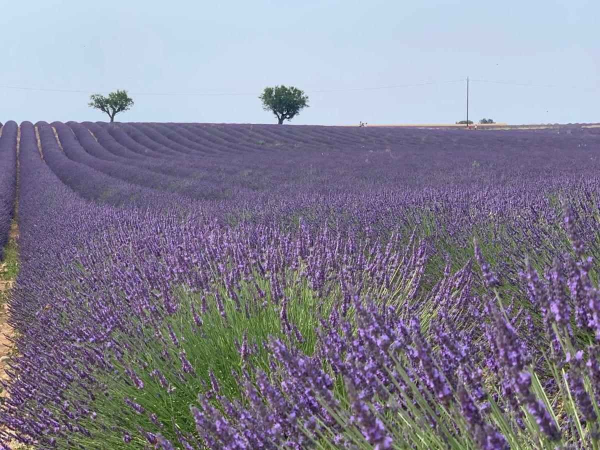 Studios Nuitee En Provence 普罗旺斯地区艾克斯 外观 照片